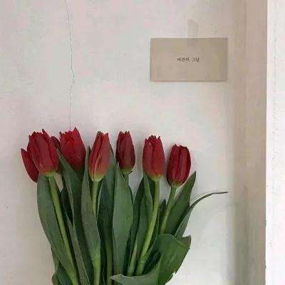 煞血龙魂手机版下载